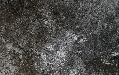 RM-02 Gray